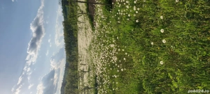 Vând lucernă amestecata cu otavă