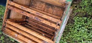 Stupi de albine cu rame - imagine 3