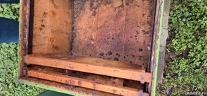 Stupi de albine cu rame - imagine 4