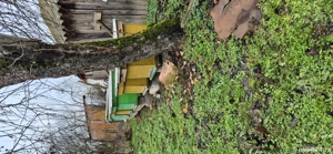 Stupi de albine cu rame - imagine 2