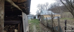 Teren de vânzare județul Bacău - imagine 8