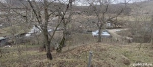 Teren de vânzare județul Bacău - imagine 9