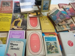 Vand carti literatura romana, universala si critica literara