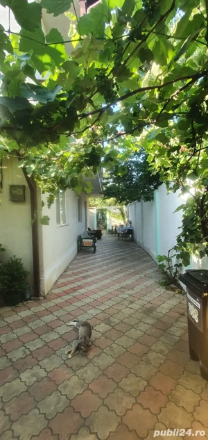 Costinesti casa  - imagine 6