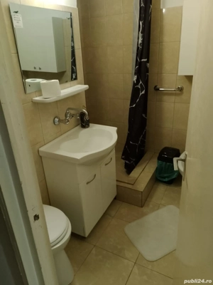 Pasteur 24  - imagine 8