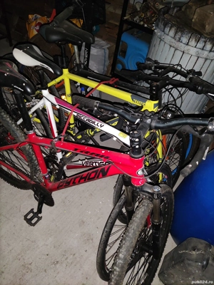 biciclete export UK - imagine 4