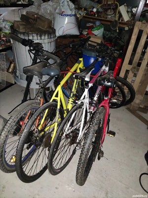 biciclete export UK - imagine 3