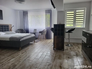 Garsonieră modernă, ideală pentru investiție   Brădetu, Argeș | 3 stele turism - imagine 2