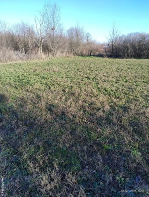 Teren intravilan în Rociu,str.Moșteni,lângă nr.223,asfalt,utilități. - imagine 6