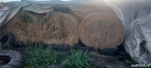 Vand baloti mari lucerna 2025