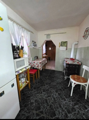 Teren 6762 mp +casa Les - imagine 4