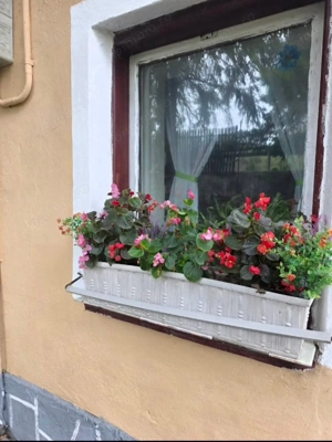 Teren 6762 mp +casa Les - imagine 8