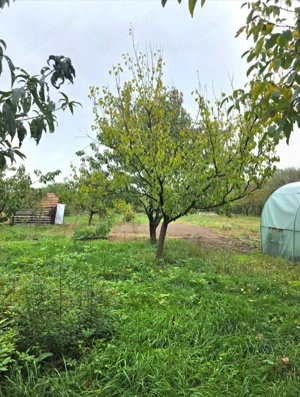 Teren 6762 mp +casa Les - imagine 9