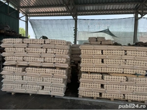 Vand brichete rumegus fag