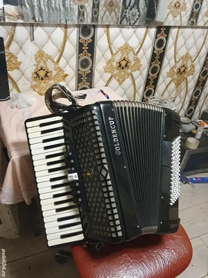 vind acordeon italian. Goldencoup.