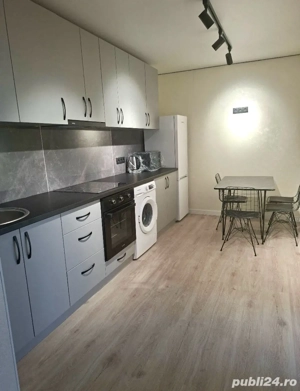 Apartament cu 2 camere de inchiriat in zona Horea - imagine 4