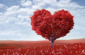 Bună ieu băiat 37 ani caut Doamnă x o aventură scrie-mi pe Whatsapp 