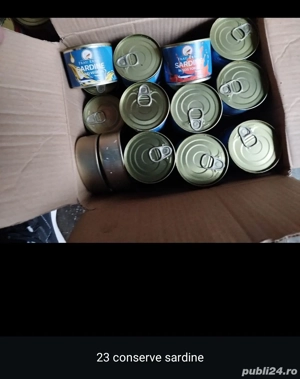 Conserve, sardine 23buc, carne de porc 17 pateu de porc 6buc,vita12buc