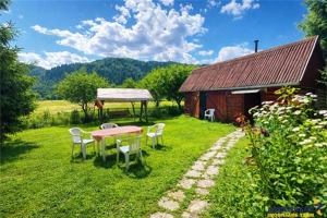 FILM  Tur LIVE! Casa de vacanta, intr- o ariere admirabila,Lunca Bradului.