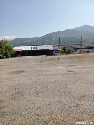 Se vinde casă cu teren generos și firmă  - imagine 3