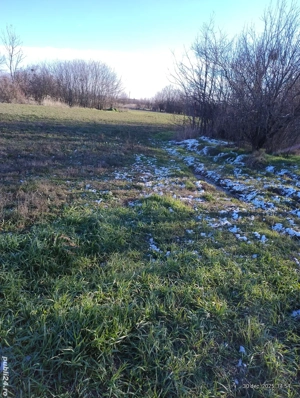 Teren intravilan în Rociu,str.Moșteni,lângă nr.223,asfalt,utilități. - imagine 9