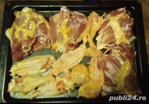 3+1găinuse  de casă  - imagine 2