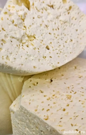 Caș de oaie 100% natural 