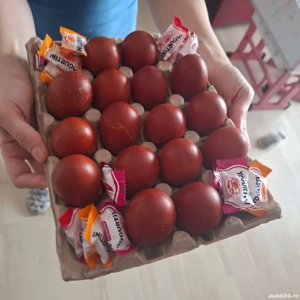 Ouă Marans ideale pentru consum   naturale, gustoase și sănătoase - imagine 2