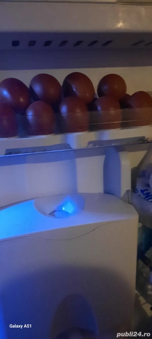 Ouă Marans ideale pentru consum   naturale, gustoase și sănătoase - imagine 3