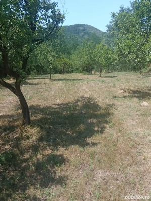 teren de vinzare Vălenii de Munte 