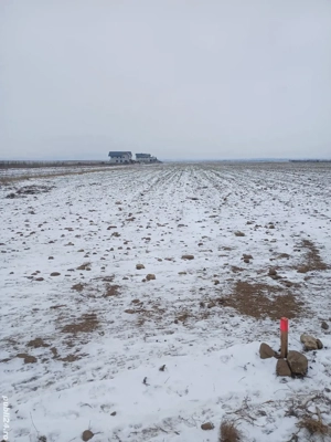 Teren extravilan în Cărpiniș - imagine 10