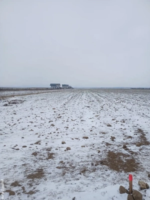 Teren extravilan în Cărpiniș - imagine 6