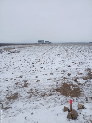 Teren extravilan în Cărpiniș - imagine 9