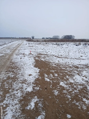 Teren extravilan în Cărpiniș - imagine 5