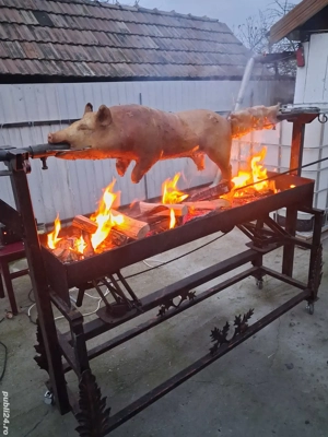 buni pentru proțap 25...30 kg rasă marele alb  - imagine 3