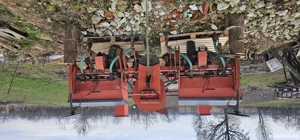 Semănătoare  - imagine 3