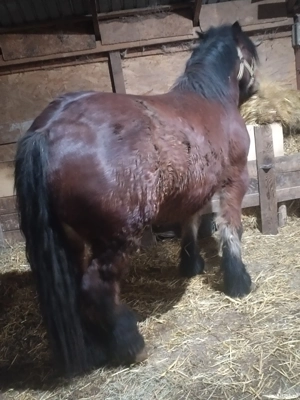 de vanzare  - imagine 3