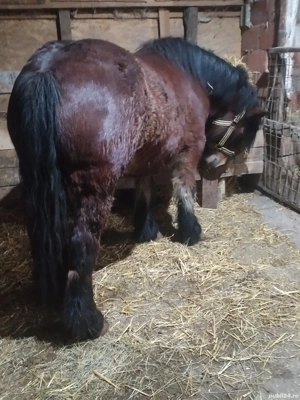 de vanzare  - imagine 2