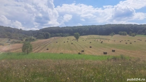 Vând baloți  - imagine 4