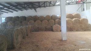 Vând baloți  - imagine 2