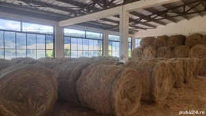 Vând baloți  - imagine 5