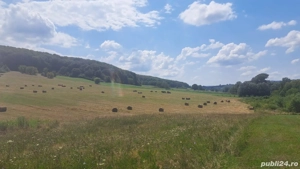 Vând baloți  - imagine 3