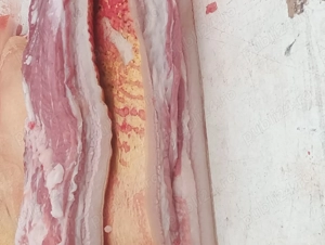 Porci albi de vânzare,metis carne cu Bazna , între1  kg,asigur cântar și trasport