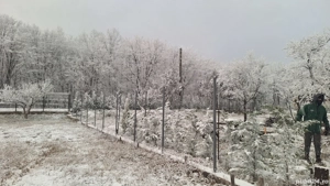 Teren la pădure - imagine 7