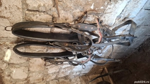 Vand hamuri ponei - imagine 3