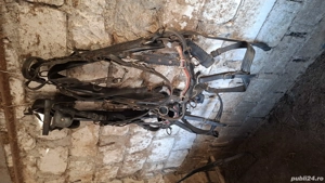 Vand hamuri ponei - imagine 5