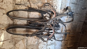 Vand hamuri ponei - imagine 4