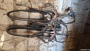 Vand hamuri ponei - imagine 2