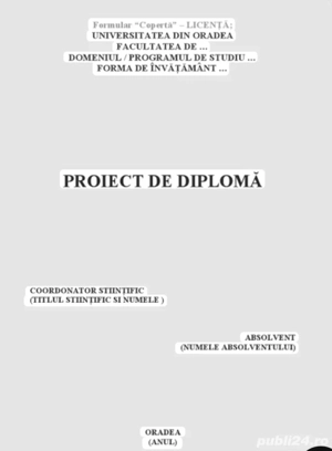 Consultanță și îndrumare pentru lucrări de licență și disertație