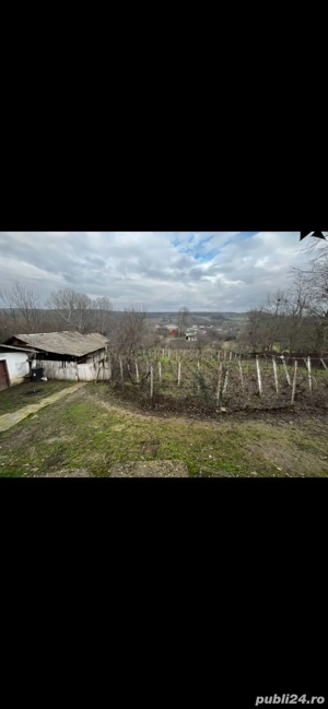 Teren Intravilan 5000mp, 25km de Craiova